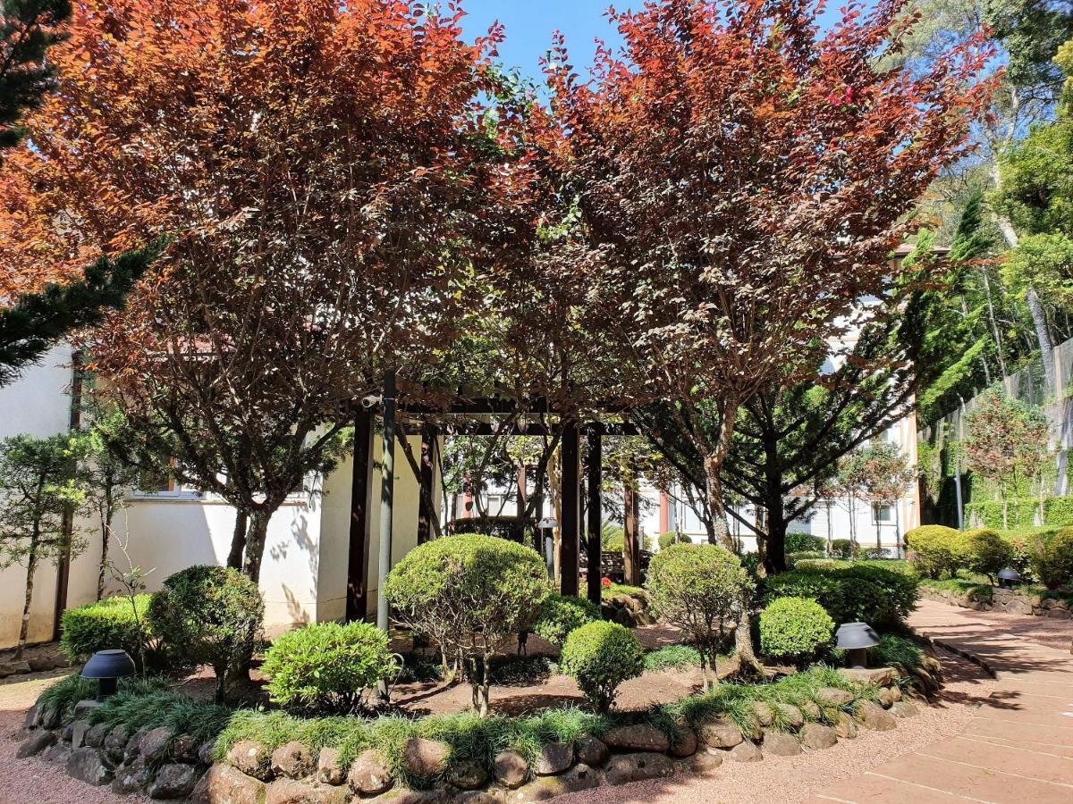 Apto No Centro De Gramado Com Piscina Termica Exteriér fotografie